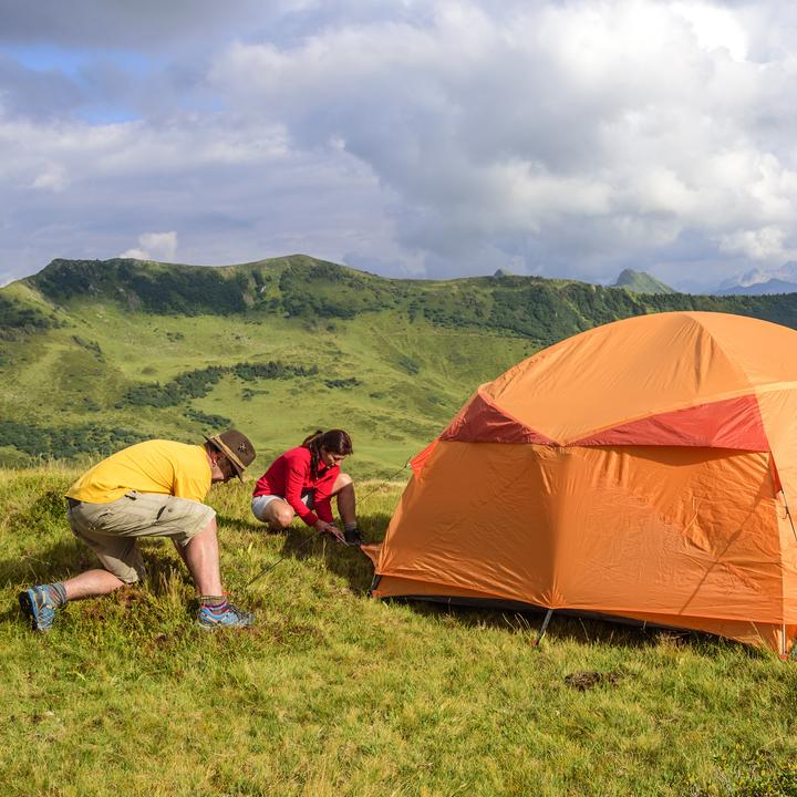 Actual product image Relaxdays Set of 10 Heavy Duty Tent Pegs