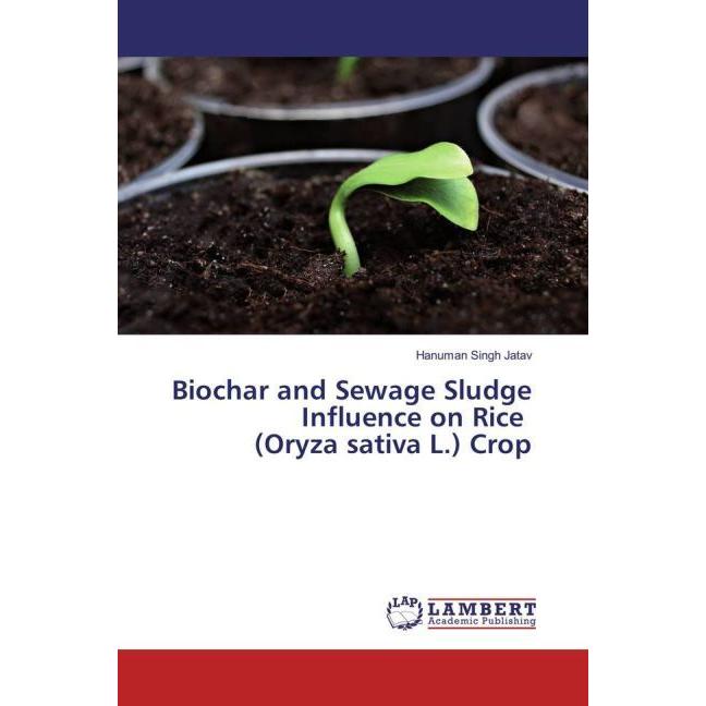 Biochar and Sewage Sludge Influence on Rice (Oryza sativa L.) Crop, Fachbücher von Hanuman Singh Jatav