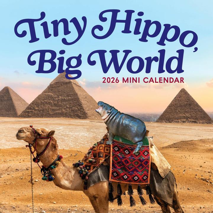 Actual product image Tiny Hippo, Big World Mini Calendar 2026