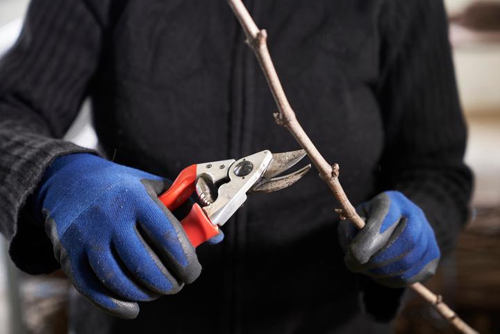 Produktbild Felco 15