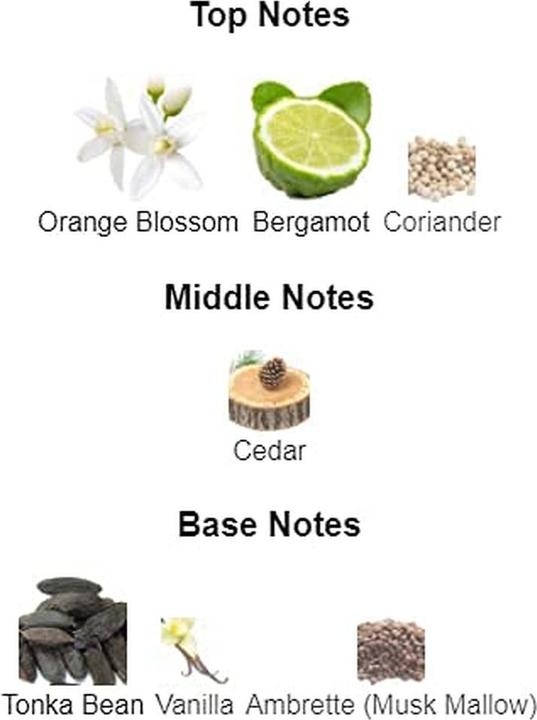 Actual product image The Woods Collection Timeless Sands Eau De Parfum (Eau de parfum, 100 ml)