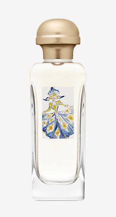 Produktbild Hermès Hiris (Eau de Toilette, 100 ml)