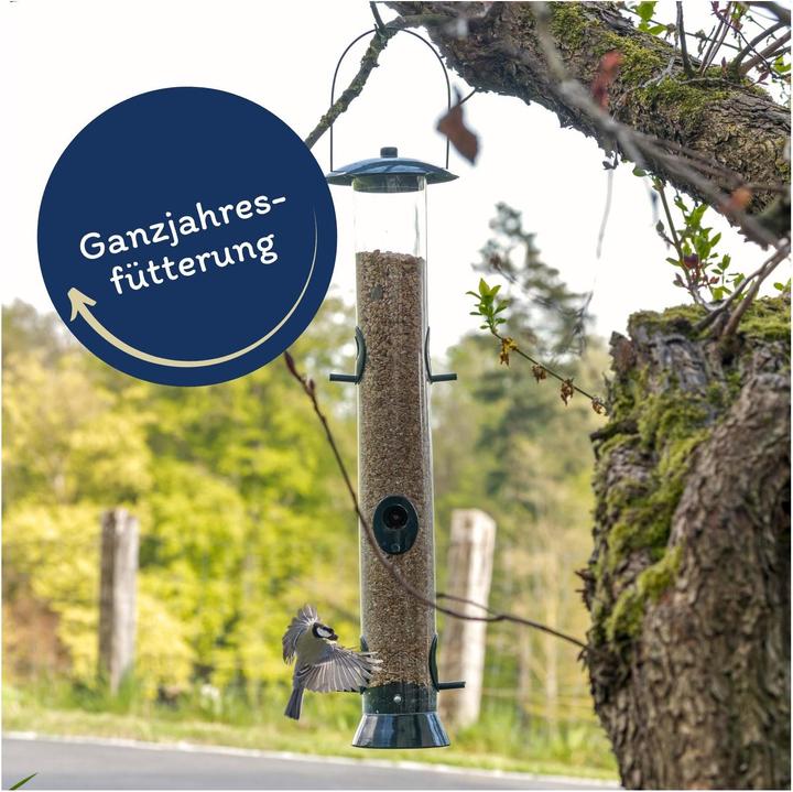 Immagine prodotto Lyra Pet Cibo unto (1 x, 10 kg)