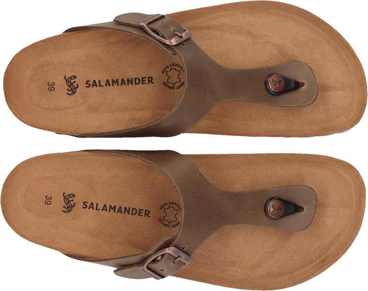 Produktbild Salamander - Basic - Zehenstegsandalen (41 EU Braun) (41)
