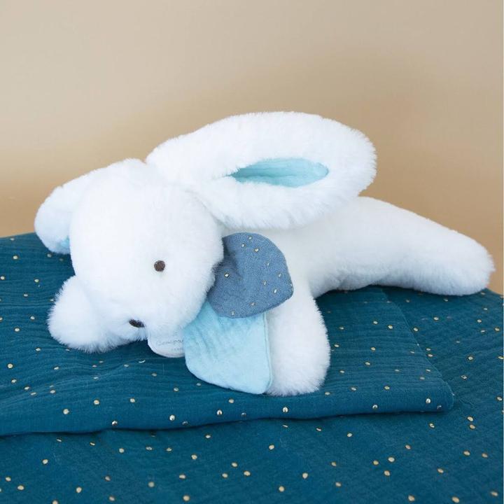 Image du produit Doudou et Compagnie Sucette (20 cm)