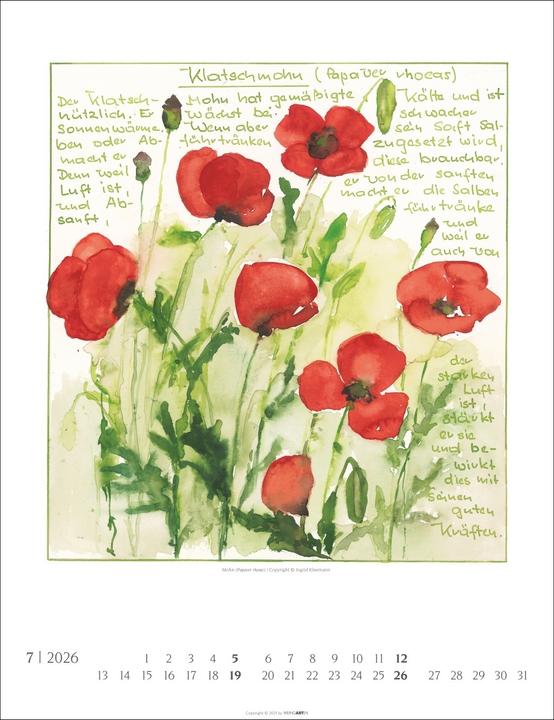 Actual product image Hildegard von Bingen Kalender 2026 (30 x 39 cm)