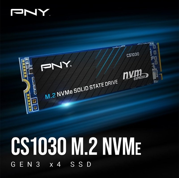Immagine prodotto PNY CS1030 (500 GB, M.2 2280)