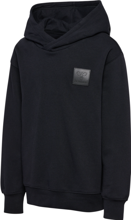 Immagine prodotto hummel hmlCLEAN HOODIE (104)