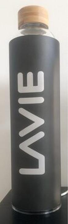 Actual product image lavie Water Purifier