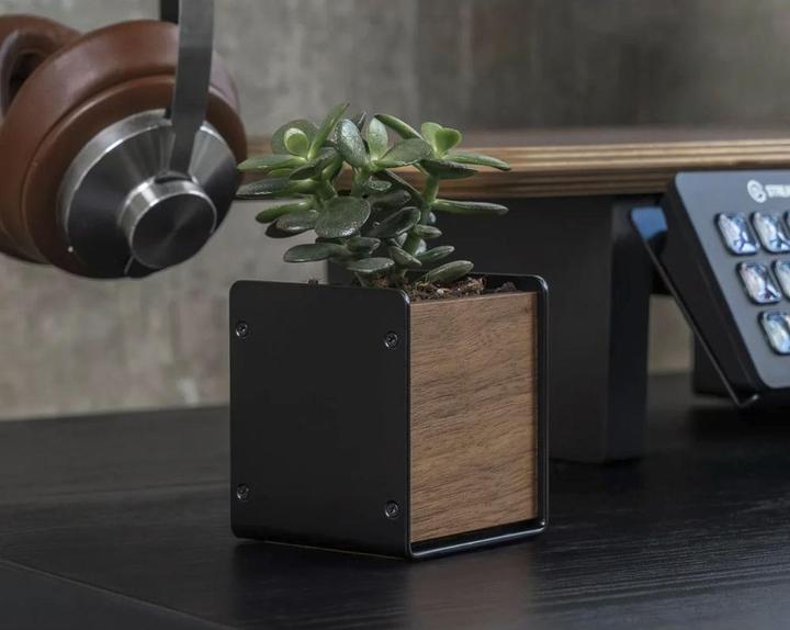 Actual product image Balolo Planter walnut (7 x 7 x 8.20 cm)