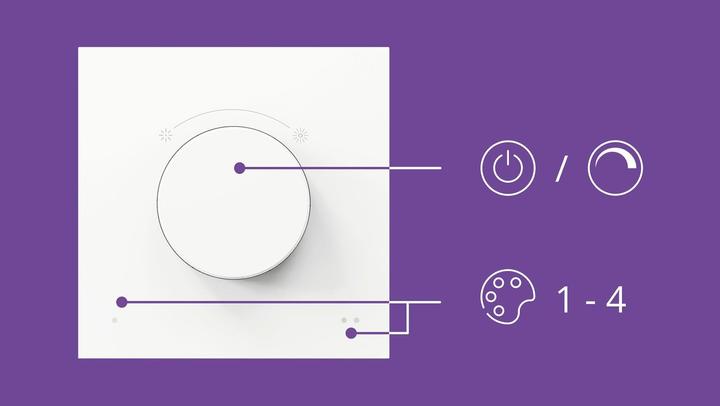 Productafbeelding WiZ Kiesschakelaar USB-C