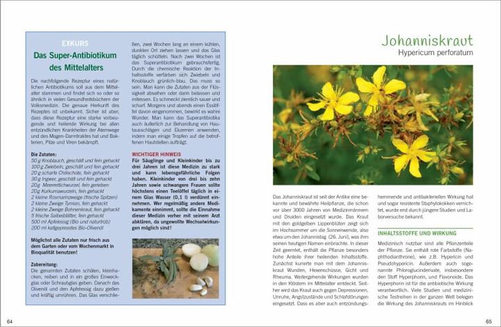 Produktbild Antibiotische Heilpflanzen (Deutsch, Liesel Malm, 2018)
