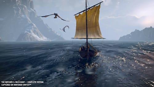 Immagine prodotto Bandai Namco The Witcher 3: Wild Hunt (Switch, DE)