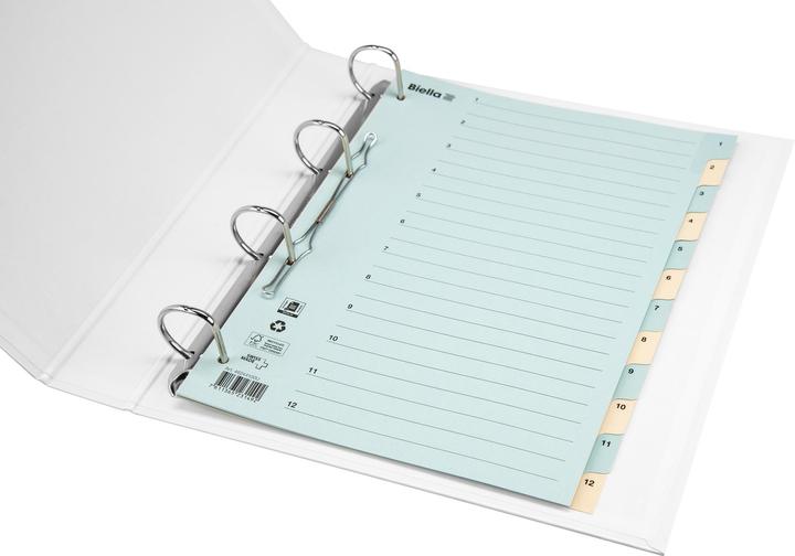 Immagine prodotto Biella Registro Cartone colorato