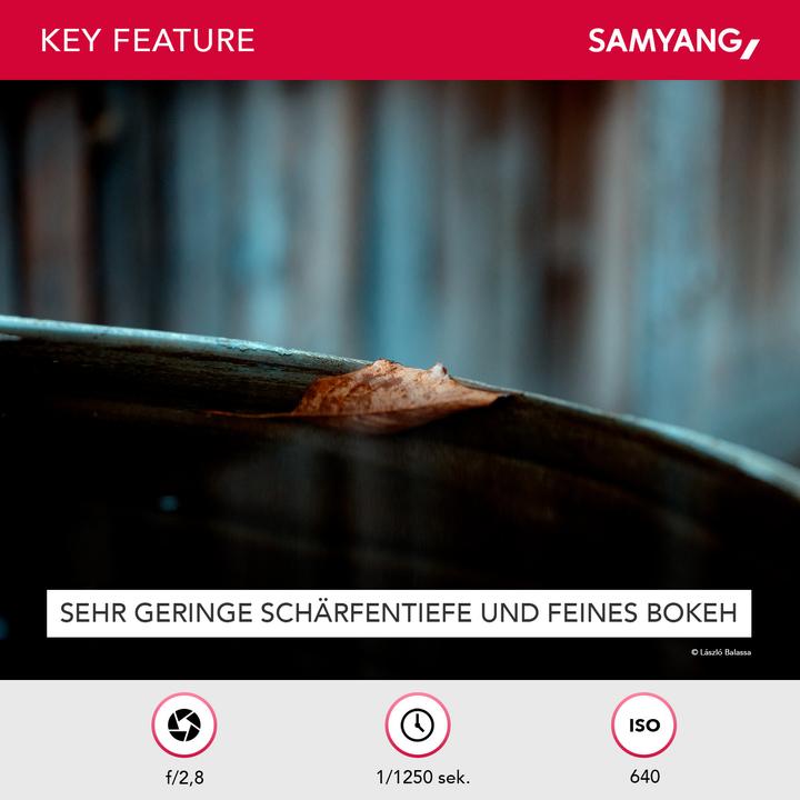Image du produit Samyang 100mm f/2.8 ED UMC, Sony E (Sony E, Plein format, APS-C / DX)