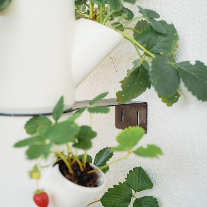 Actual product image Gusta Garden Sissi Strawberry (27 x 27 x 113 cm)