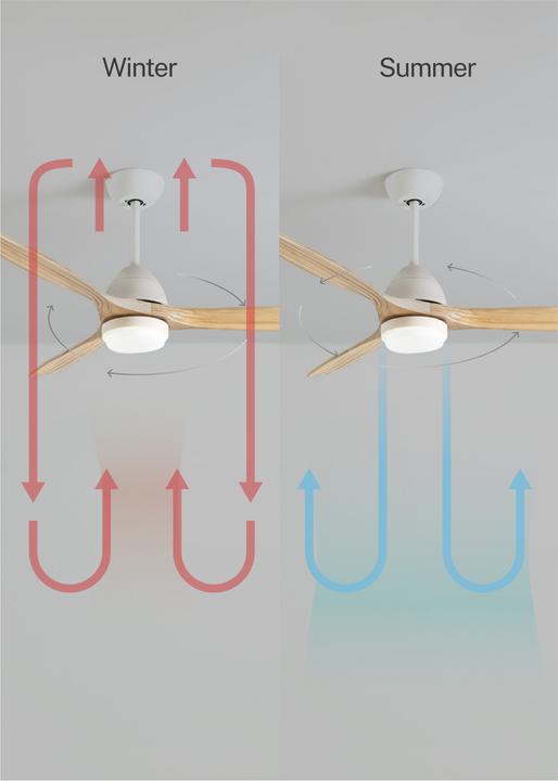 Produktbild Create Wind Cup (50 dB)
