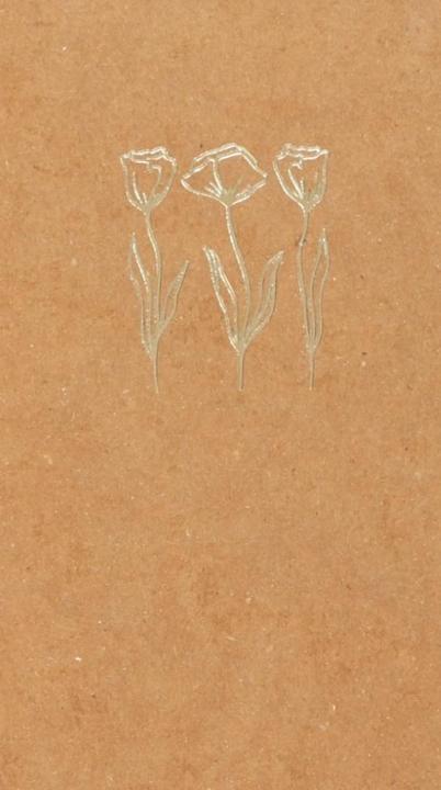 Schubiger Maki's notitieboek (Geen, Hardcover)