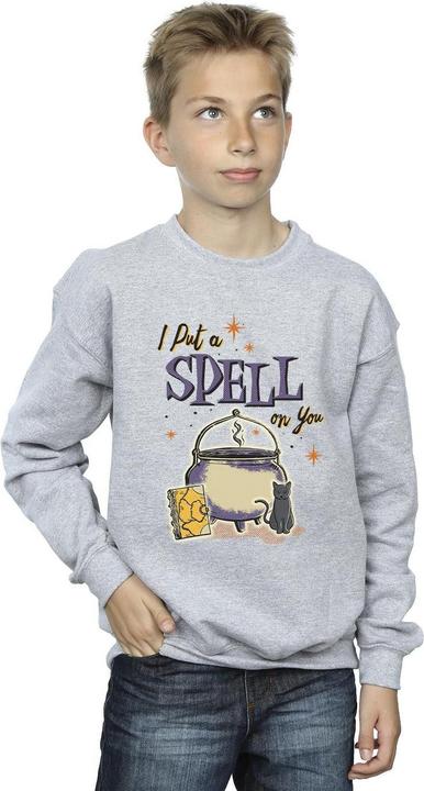 Produktbild Disney Hocus Pocus Spell On You Sweatshirt Jungen (140, 146)