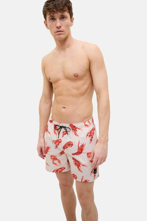 Actual product image Jack & Jones Badehose MAUI Schwimm-Shorts (S)