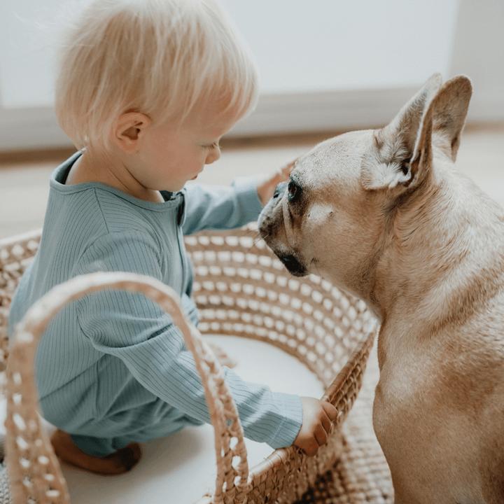 Produktbild Emma & noah Schlafanzug mit Bündchen (80)