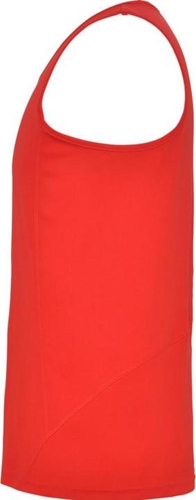 Actual product image Alpinia Mens Andre Sports Vest Top (S)