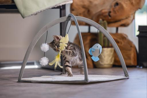 Actual product image Beeztees Bz Kitten Play Mat Xabia Gra (Catmint toy)