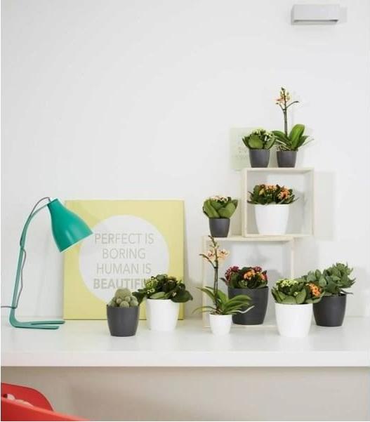 Actual product image Elho Brussels (6.70 cm)