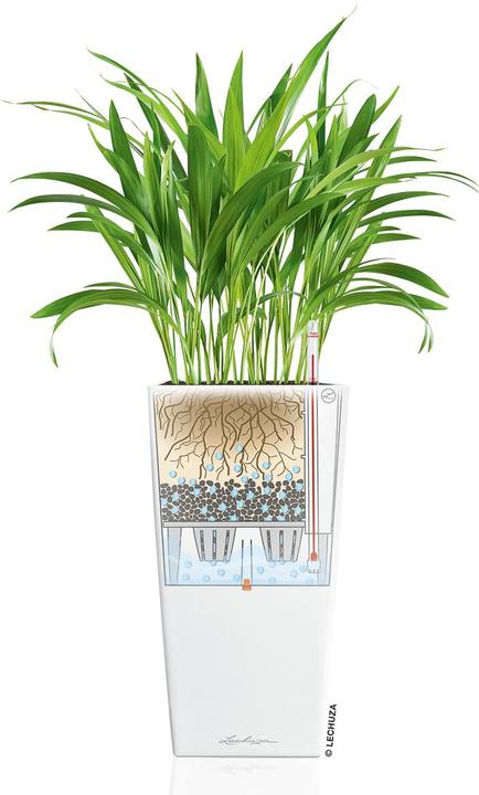 Produktbild Lechuza Cubico (22 x 41 cm)