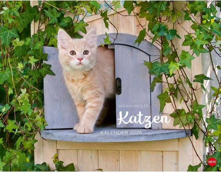 Produktbild Monika Wegler: Katzenkalender 2026 (44 x 34 cm)
