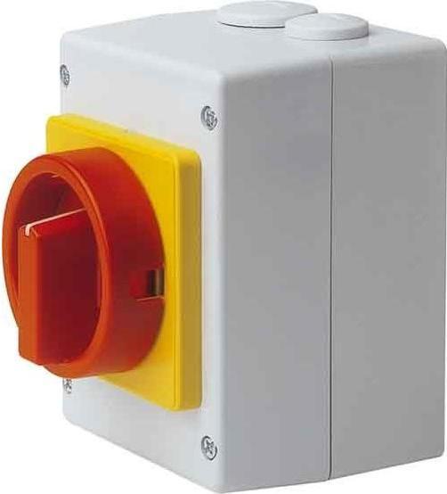 Produktbild Elektra Tailfingen Haupt-Not-Aus-Schalter S1 013/HS-T8/2-D-MRG