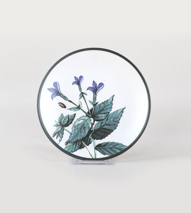 Produktbild Hermia Heath (1x)