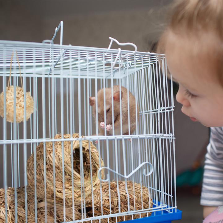 Produktbild Relaxdays 5tlg. Hamsterzubehör