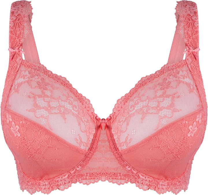 spiced coral