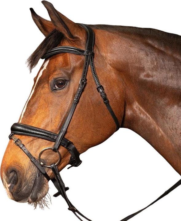 Image du produit Harry's Horse Soft Carbon