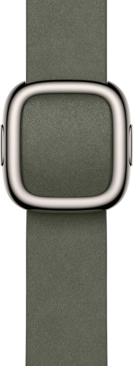 Actual product image Apple Modern Buckle (42 mm, Polyester)