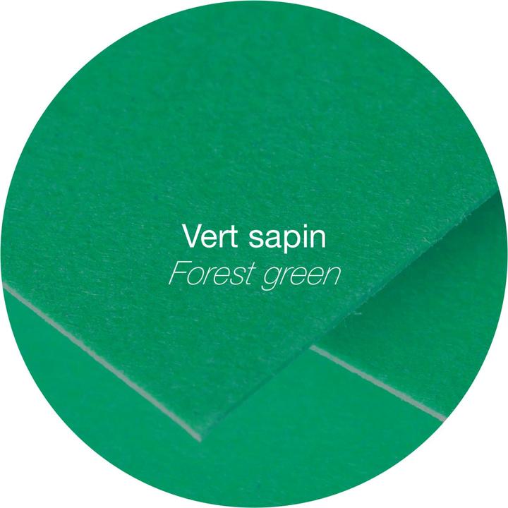 Actual product image Pollen Envelopes (7.5 x 10 cm, 1600 x)