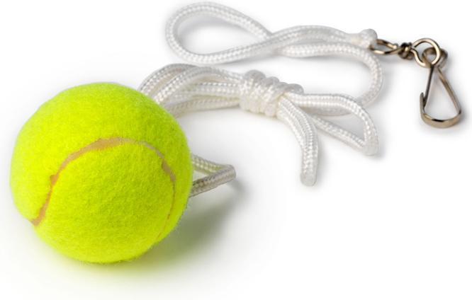 Immagine prodotto Bex Sport Gioco della palla Tether