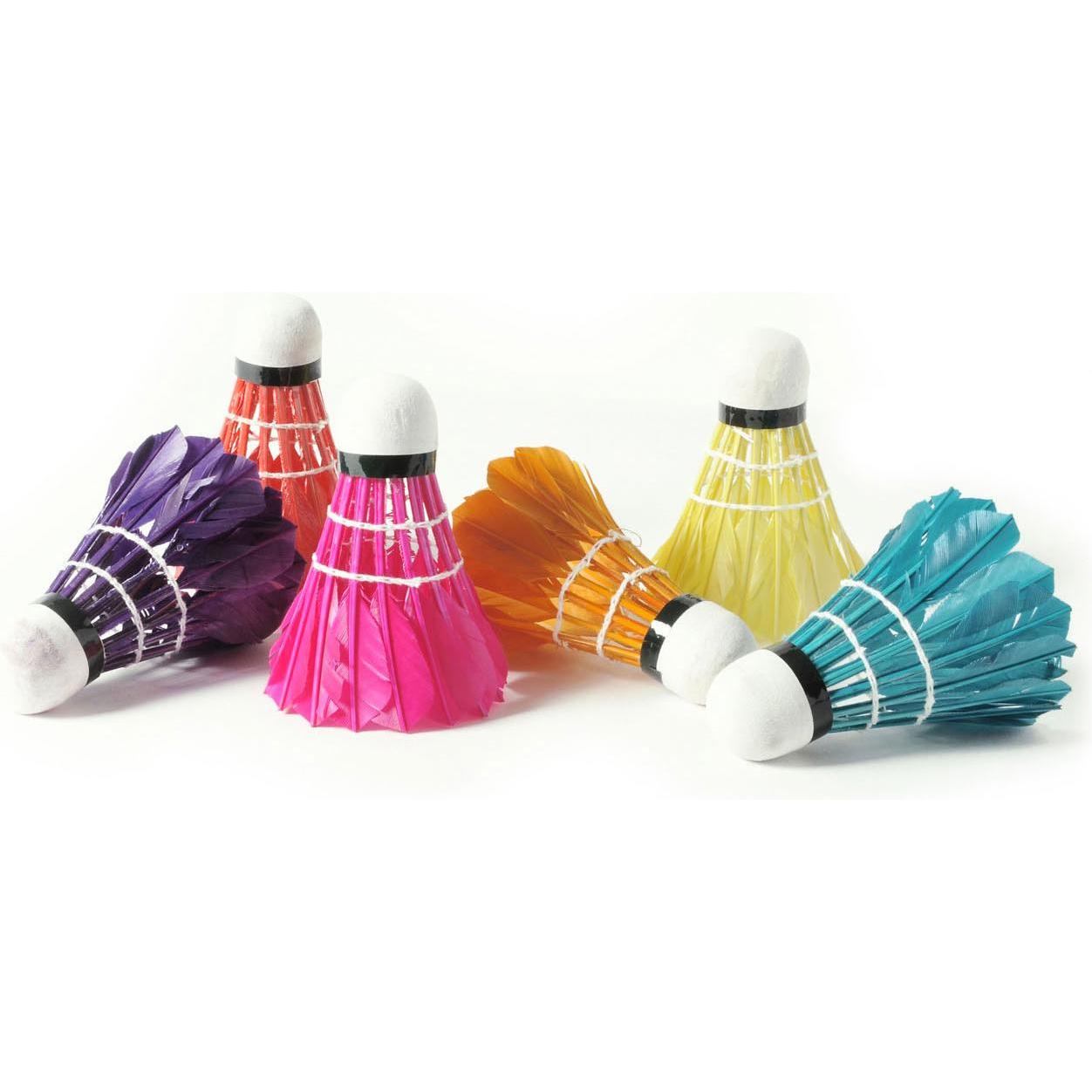 Multicolore Volano Da Badminton