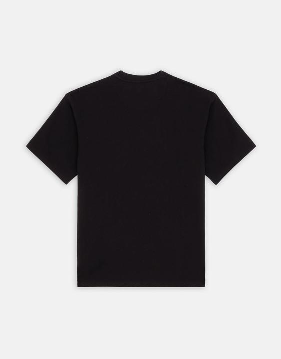 Produktbild Dickies Clancy Heavyweight Tee S/S (XXL)