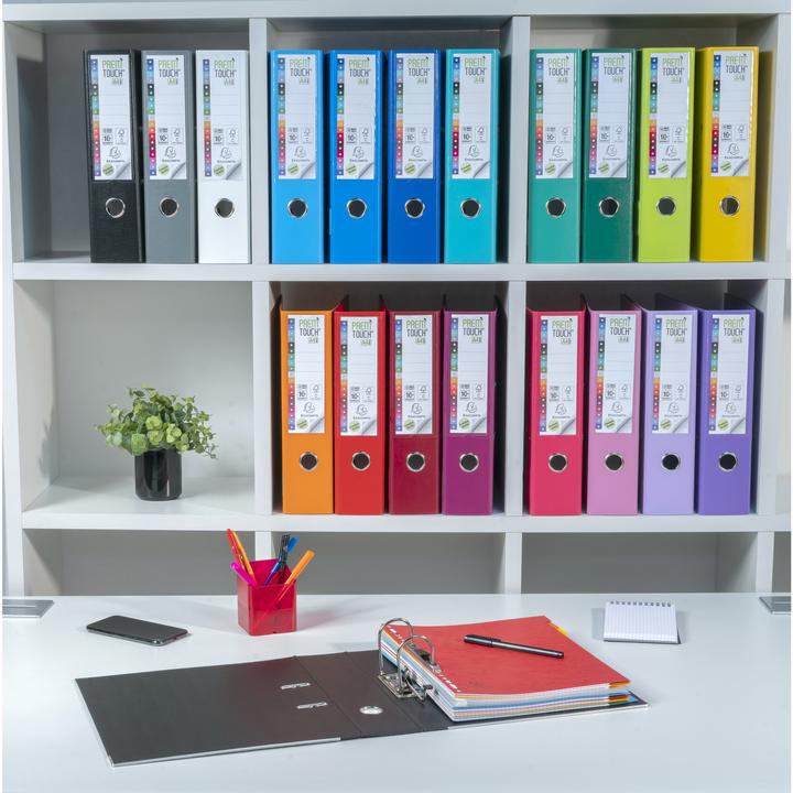 Immagine prodotto Exacompta PP- Premium, DIN 80 mm, blu scuro (A4, 80 mm, 1 Pezzo/i)