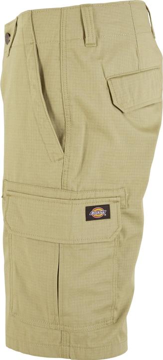 Actual product image Dickies Millerville Shorts (30)