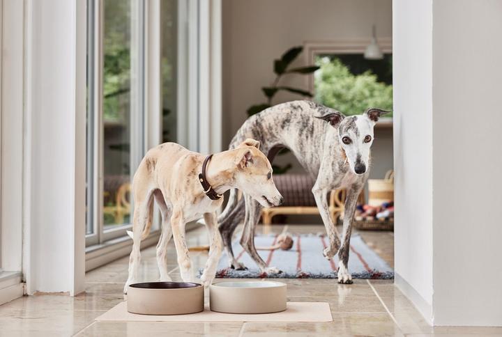 Immagine prodotto OYOY Zoo Ciotola in ceramica Sia M, Ø 17 x H 6 cm, Choko (2.53 l)