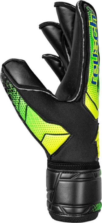 Actual product image Reusch Attrakt AB1 Duo (8.5)