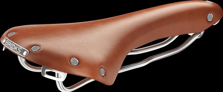 Actual product image Brooks England B15 Swallow Chrome