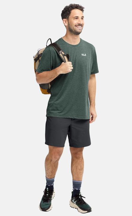 Image du produit Jack Wolfskin Pico Shorts M (L)
