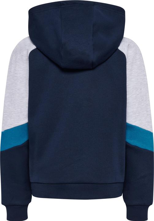 Produktbild hummel Hmljr Loose Blocked Zip Hoodie