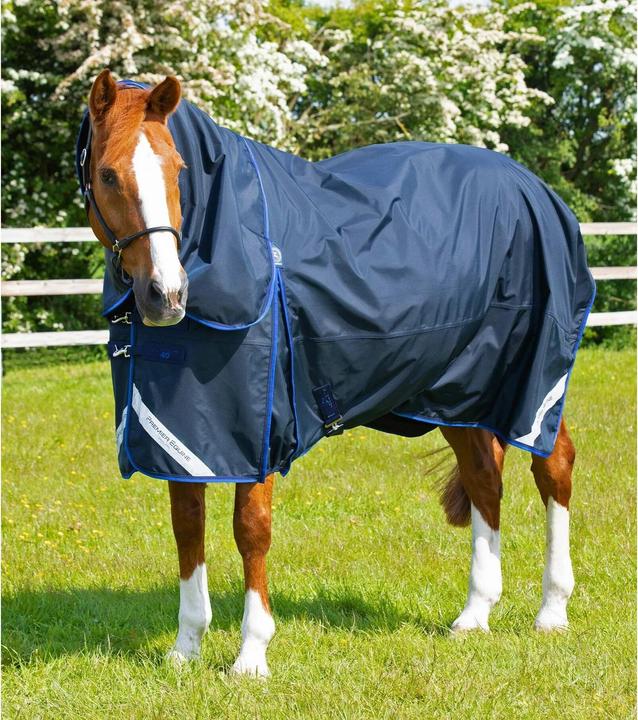Produktbild Premier Equine Buster 40g (152 cm)