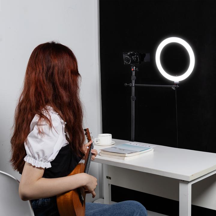 Image du produit SmallRig DT-30 Support de bureau avec bras de maintien (Divers)