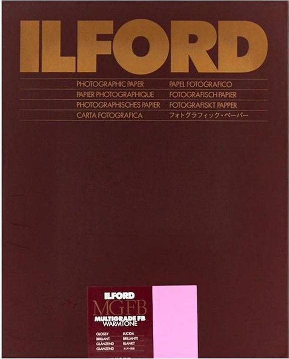 Ilford MG FB Warmtone 1K 24x30.5cm/50 sheets #1865462 (50 pcs.)